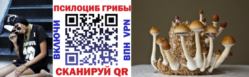 Псилоцибиновые грибы Magic Shrooms  наркота  shop состав  Тверь 